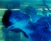 Кэмерон научил детей обходиться без воздуха 4 минуты на съемках 
<!--ИСТОЧНИК НОВОСТИ--><noindex> <nofollow>
<!--ИСТОЧНИК НОВОСТИ  --><div class=