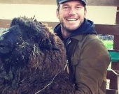 Крис Прэтт купил корову и живет на ферме