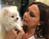 Виктория Бекхэм поделилась своим младенческим фото