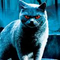 Первый взгляд на ремейк «Кладбища домашних животных» по Кингу