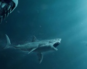 "Мег" с Джейсоном Стэтхэмом получил сиквел