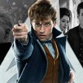 WB откладывают «Фантастических тварей 3» и «Флэша»