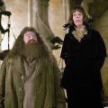 Хагрид из «Гарри Поттера» оказался в инвалидном кресле