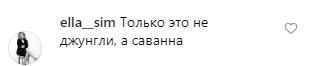 Львы и гиены всю ночь мешали Собчак заснуть - «Новости шоубизнеса»