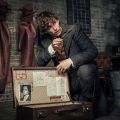 Маги задерживаются: Появилась дата выхода «Фантастических тварей 3»