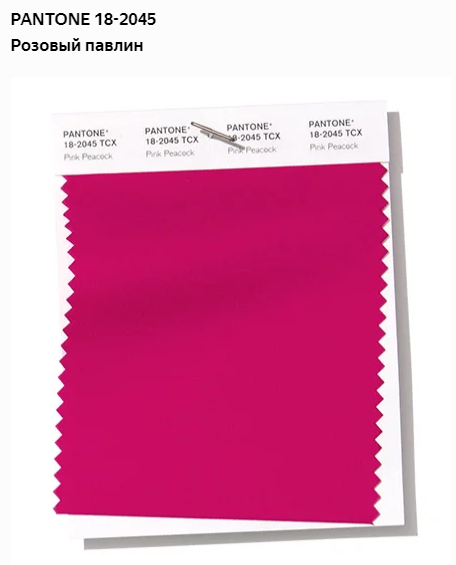 Горячая штучка: телеведущая Яна Кошкина загорает топлес - «Новости шоубизнеса»