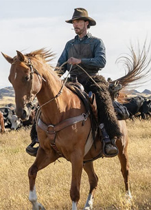 Netflix и Disney получили наибольшее число номинаций на "Оскар 2022" - «Новости кино»