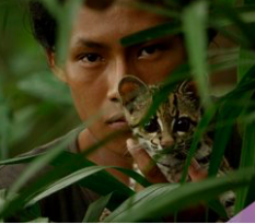 Питчинг MIPDoc: расследования, наука и дикая природа - «Новости кино»