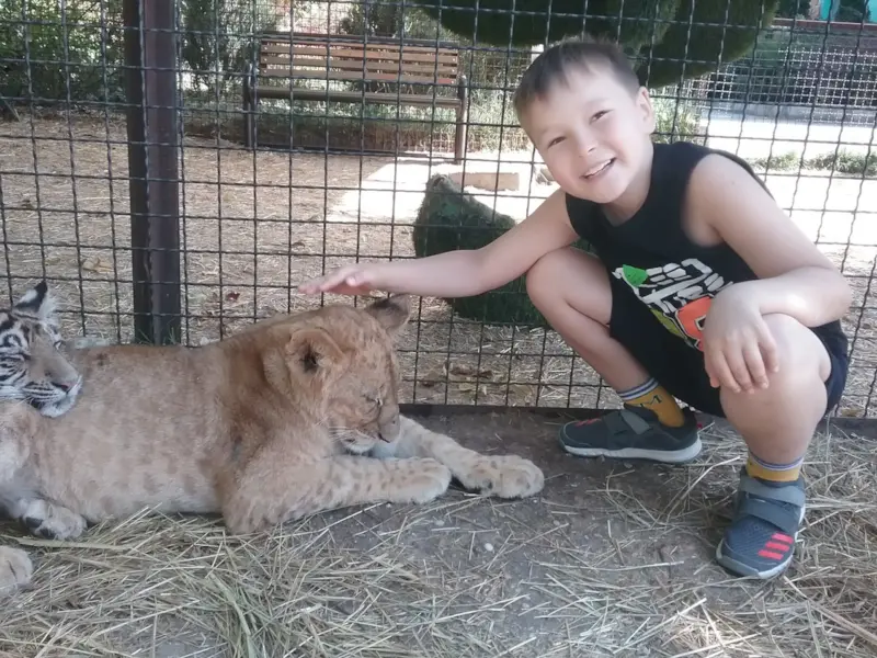 Альберт Тавабилов - Биография