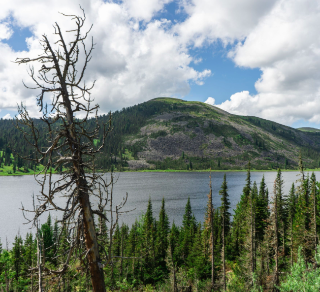 В Красноярском крае установлен максимальный размер рибейта - «Новости кино»