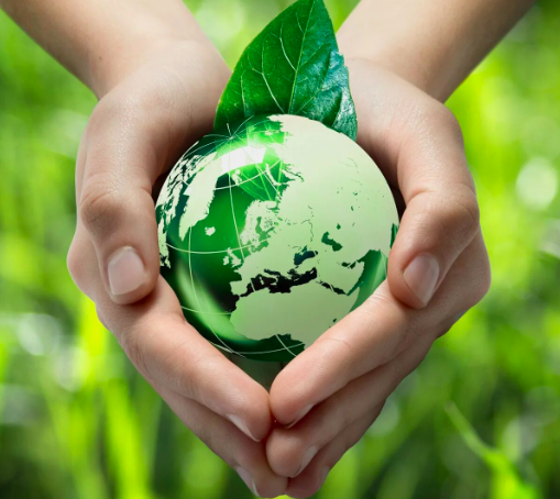 Экологическая повестка внедряется в российское кино - «Новости кино»