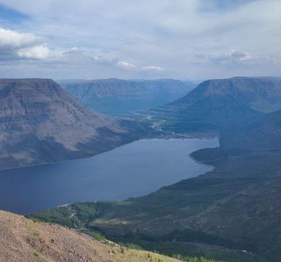 Красноярский край в 2025 выделит субсидии организациям кинематографии - «Новости кино»